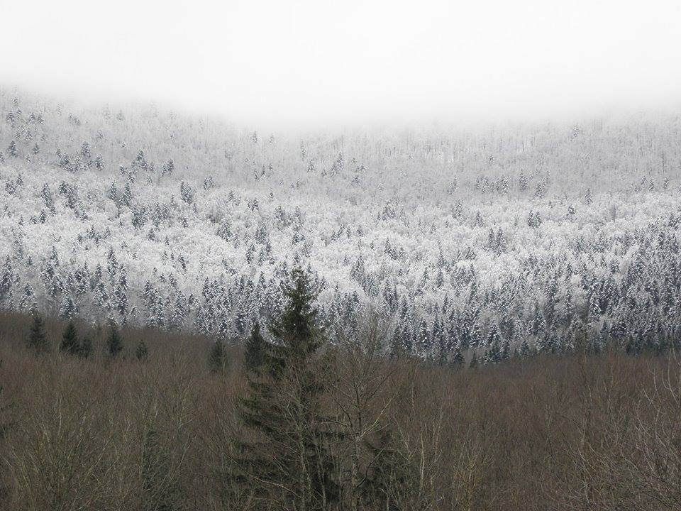 velebit.jpg velebit.jpg