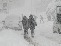 14113img3343.jpg