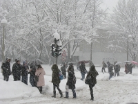 14113img3347.jpg