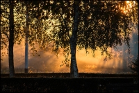 slika70_2015.jpg