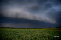 slika34_shelfkoprivnica_24_5.jpg